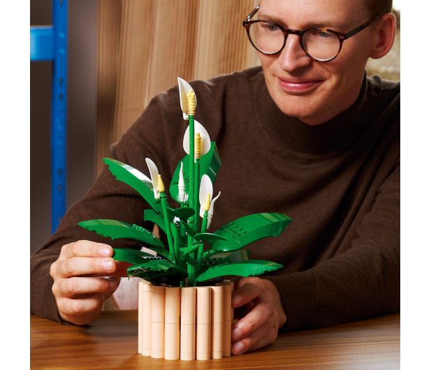 LEGO BOTANICALS 11504 Skrzydłokwiat - 1473410 - zdjęcie 4